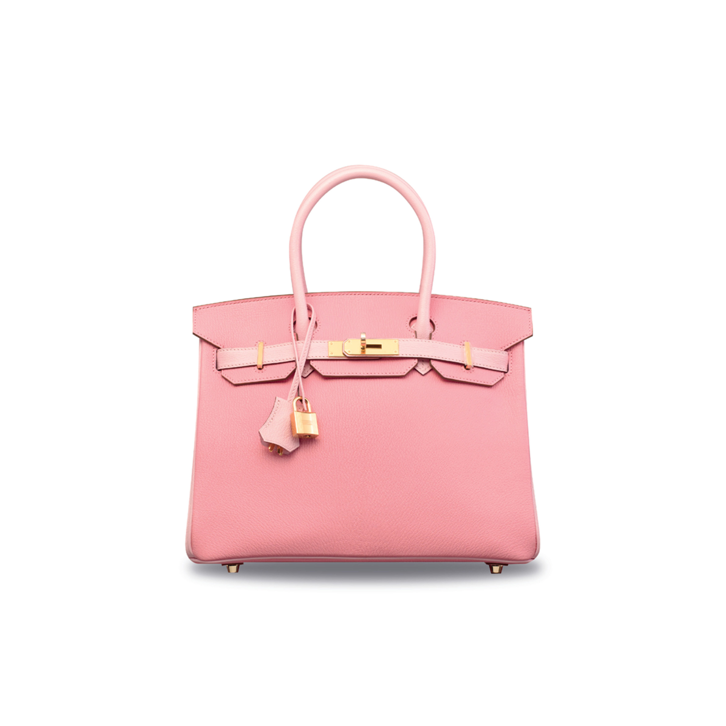 HERMES MASTER BIRKIN 25 TOGO LEATHER MILKSHAKE POWDER AND CHERRY BLOSSOM POWDER GOLD BUCKLE BAG H028365CC03 (25*20*13cm)